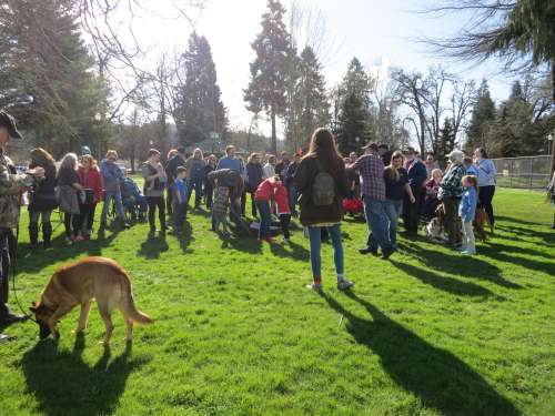 A large group of people including pet dogs gather around the planting location, multiple people dig a hole for the tree